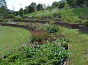 Paesaggio - Progetti Pubblici